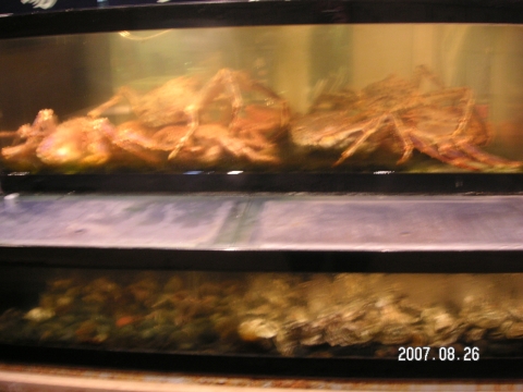 s_PICT0137.jpg